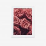 تابلو مدرن گل رز تصویر اصلی