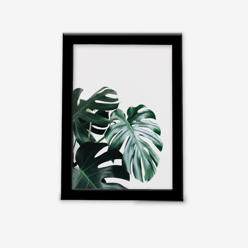 تابلو مدرن برگ انجیری تصویر اصلی