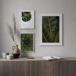 ست تابلو گیاهان استوایی