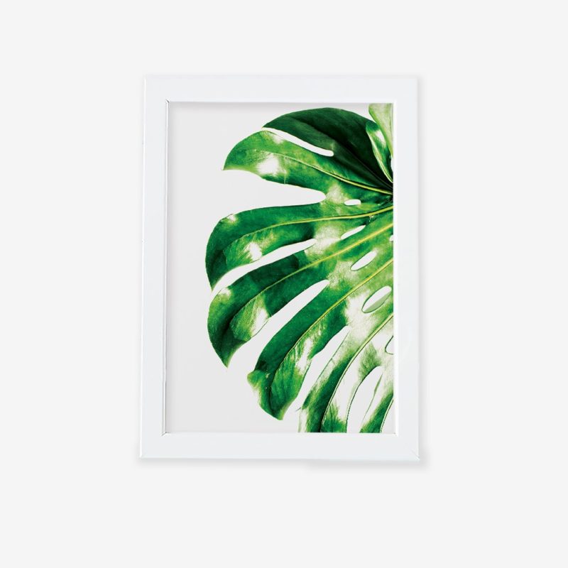 تابلو مدرن برگ انجیری (2) تصویر اصلی