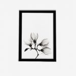 تابلو مدرن گل سیاه و سفید تصویر اصلی