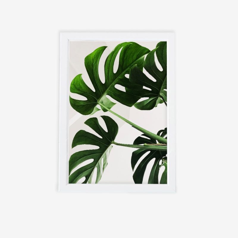 تابلو مدرن برگ انجیری (4) 1