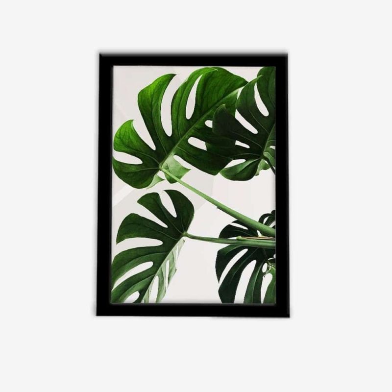 تابلو مدرن برگ انجیری (4) تصویر شده